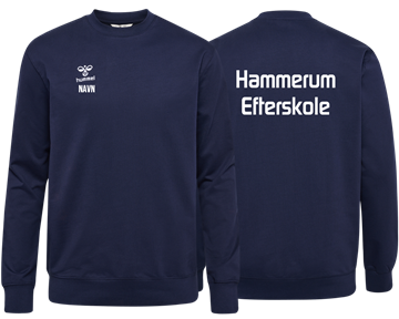 Hammerum Efterskole Skoletrøje 26/27